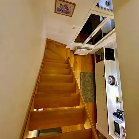Apartment Luxury Museum