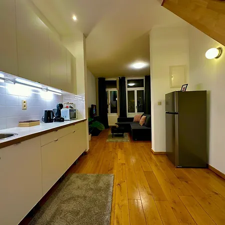 Luxury Museum Apartment Antwerpen